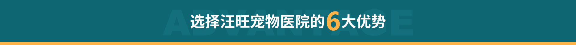 6大優勢